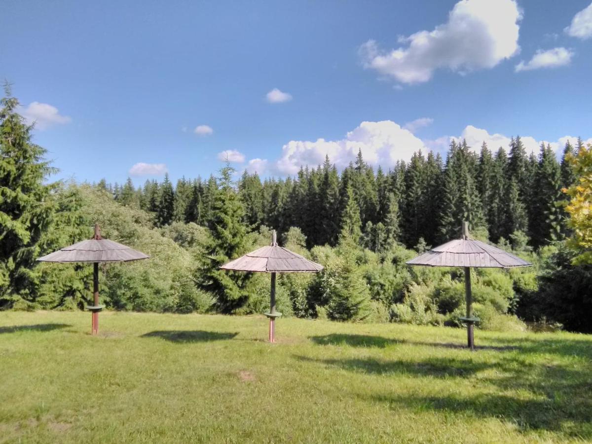 Casa Paltin Vila Si Cabane Poiana Stampei Luaran gambar