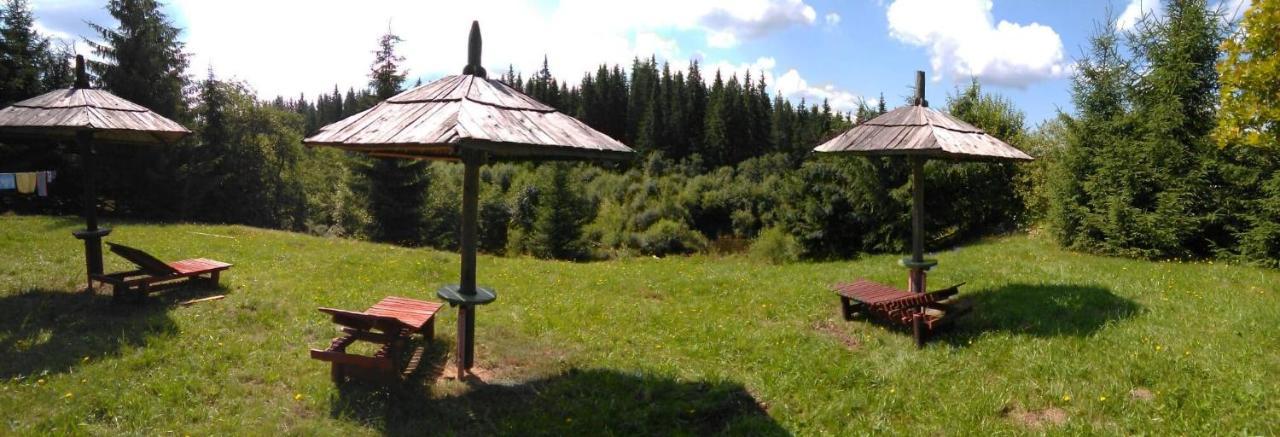 Casa Paltin Vila Si Cabane Poiana Stampei Luaran gambar