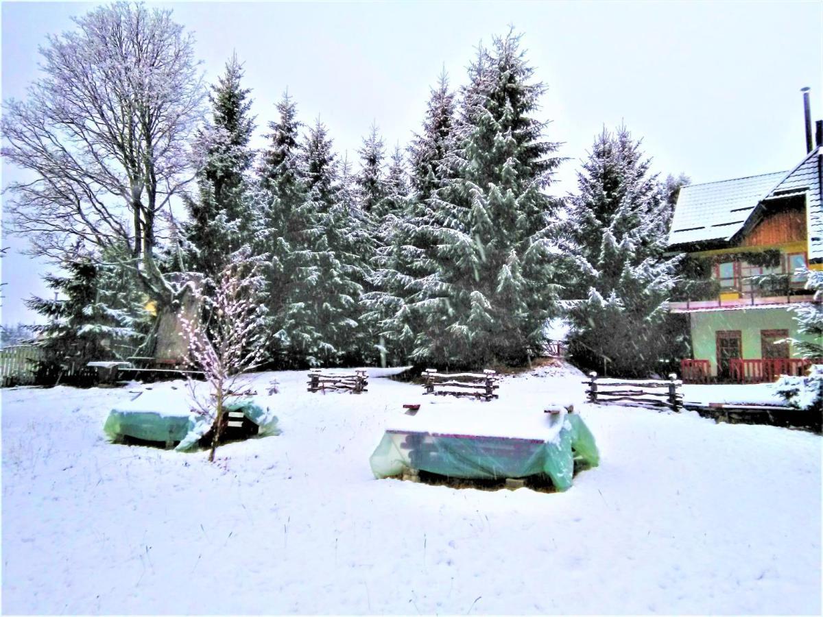 Casa Paltin Vila Si Cabane Poiana Stampei Luaran gambar