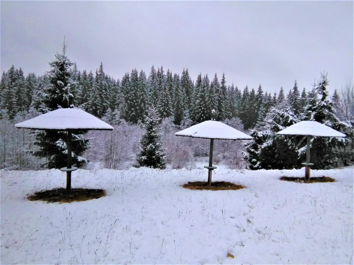 Casa Paltin Vila Si Cabane Poiana Stampei Luaran gambar