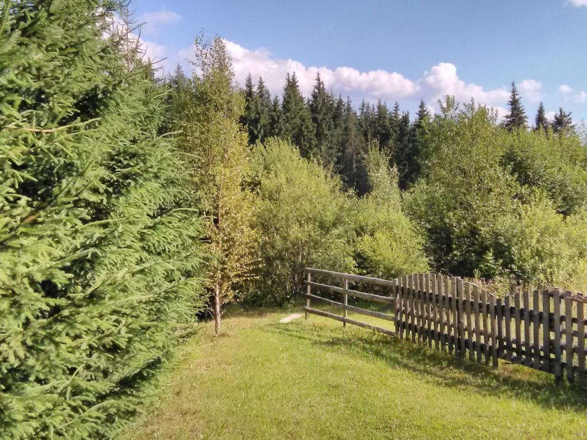 Casa Paltin Vila Si Cabane Poiana Stampei Luaran gambar